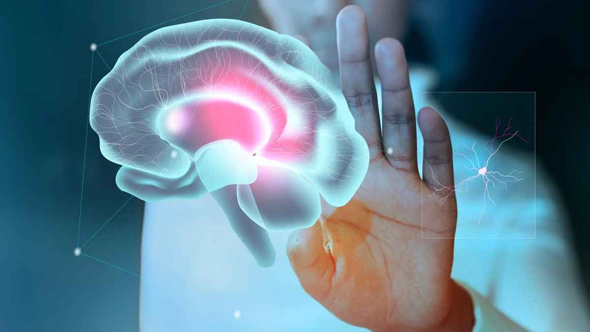 Des scientifiques traquent la conscience dans des photons cachés du cerveau