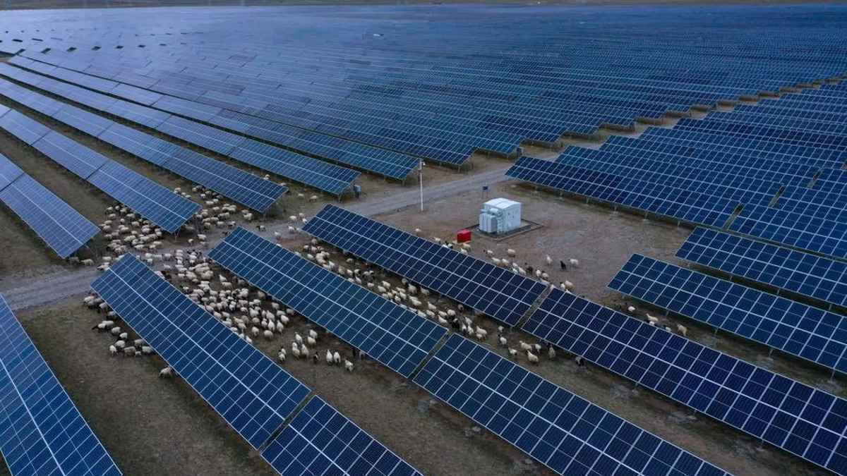 Désertification : la chine révolutionne la lutte contre la désertification grâce à l'ia et à l'agriculture