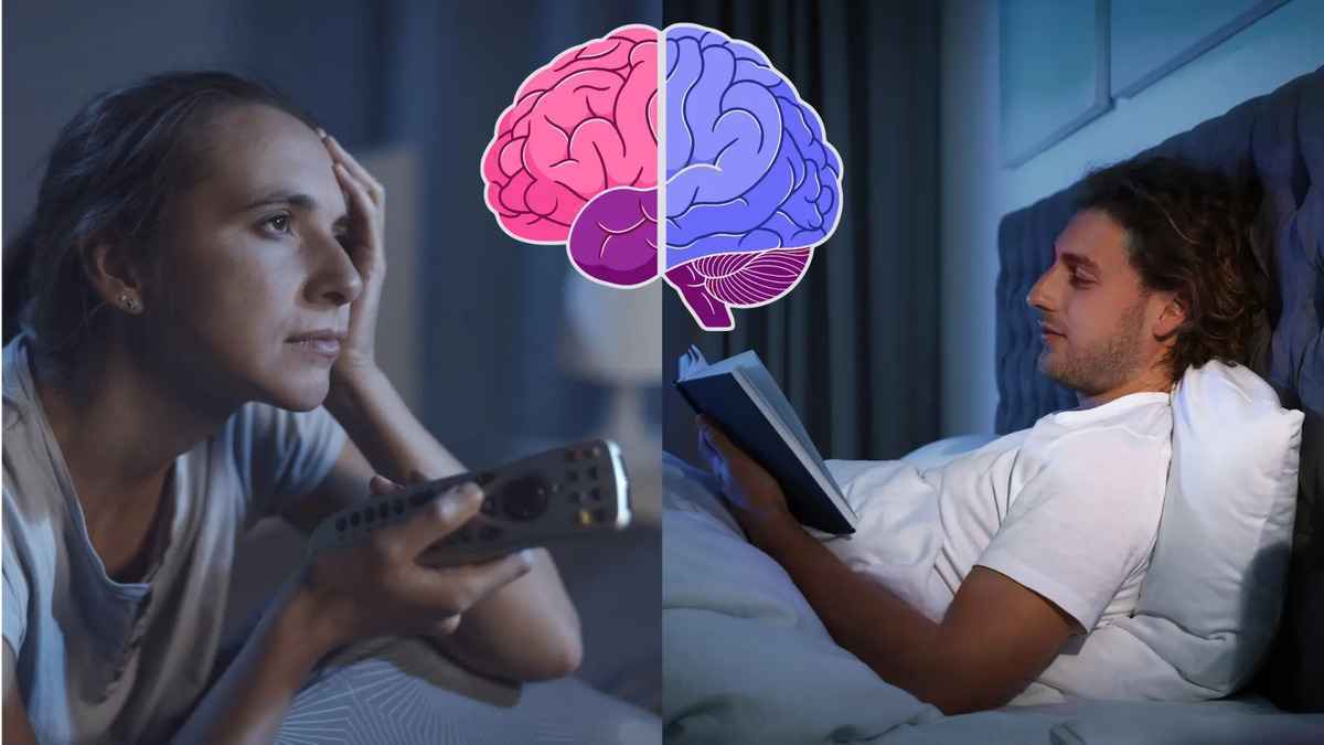 Écrans et lecture: le cerveau en alerte rouge?